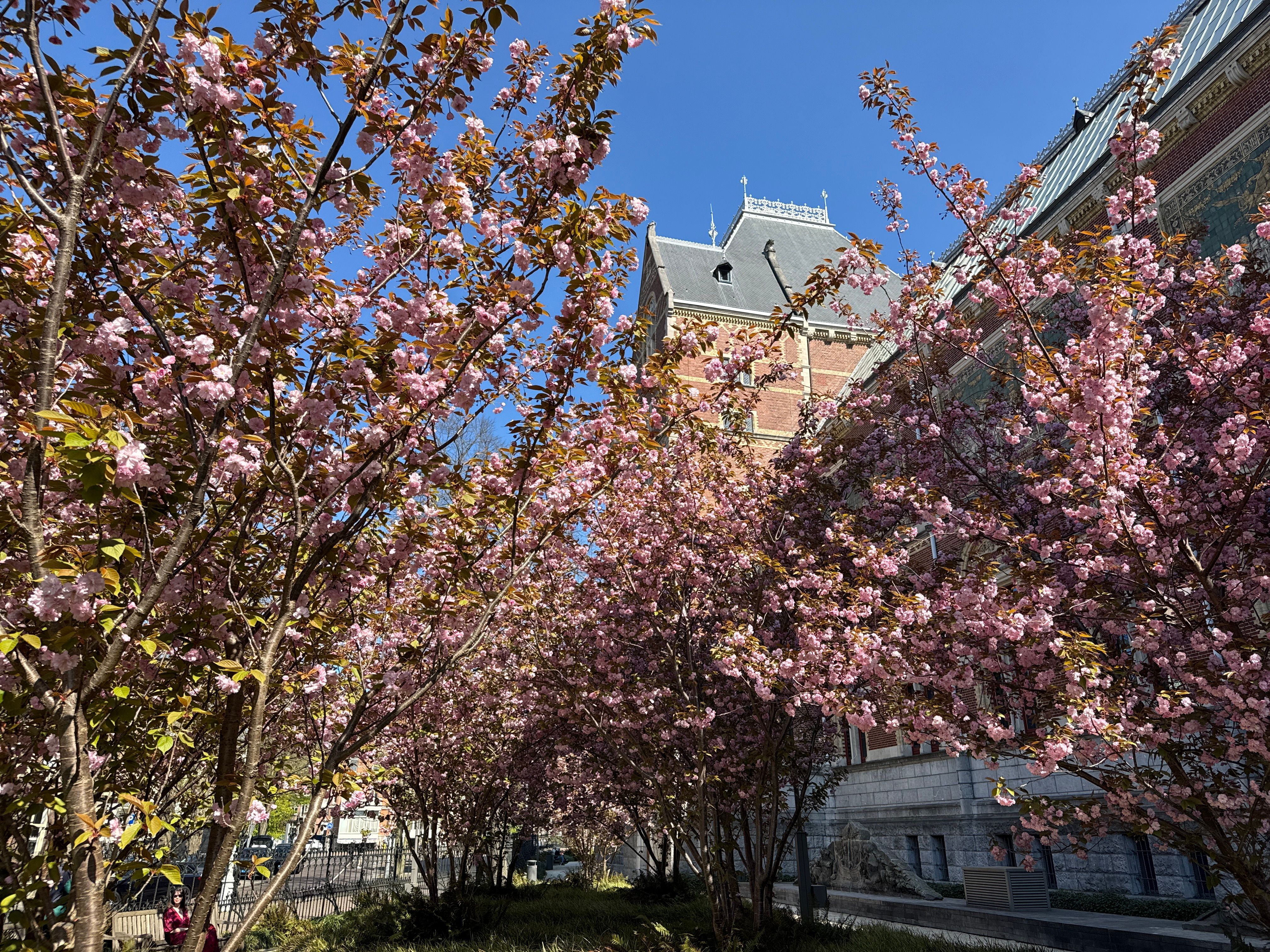 The outdoor garden