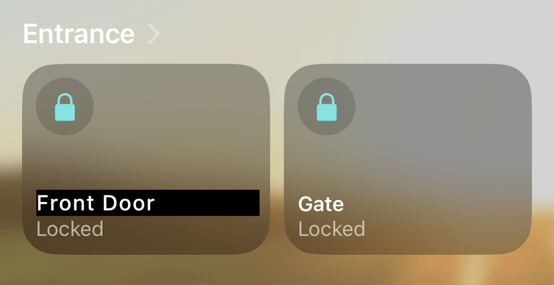 The gate lock alongside the front door lock in Apple Home.