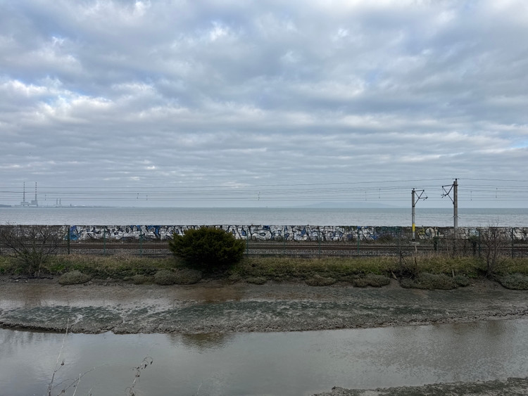 A view of the ocean behind a train line