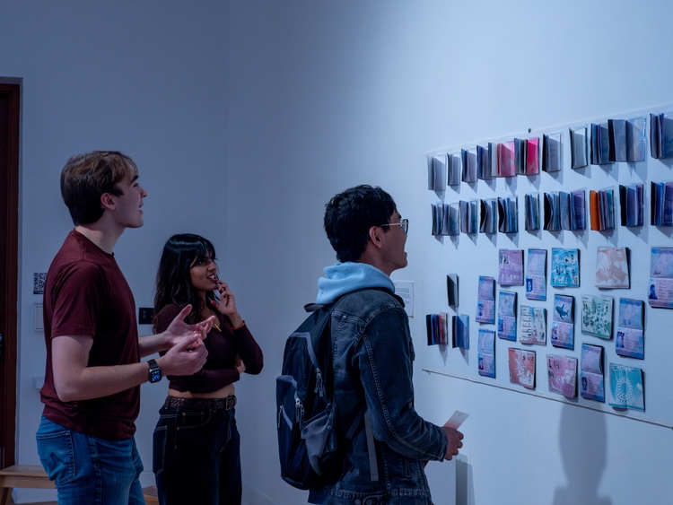 Myself and attendees talking about the Passports installation.