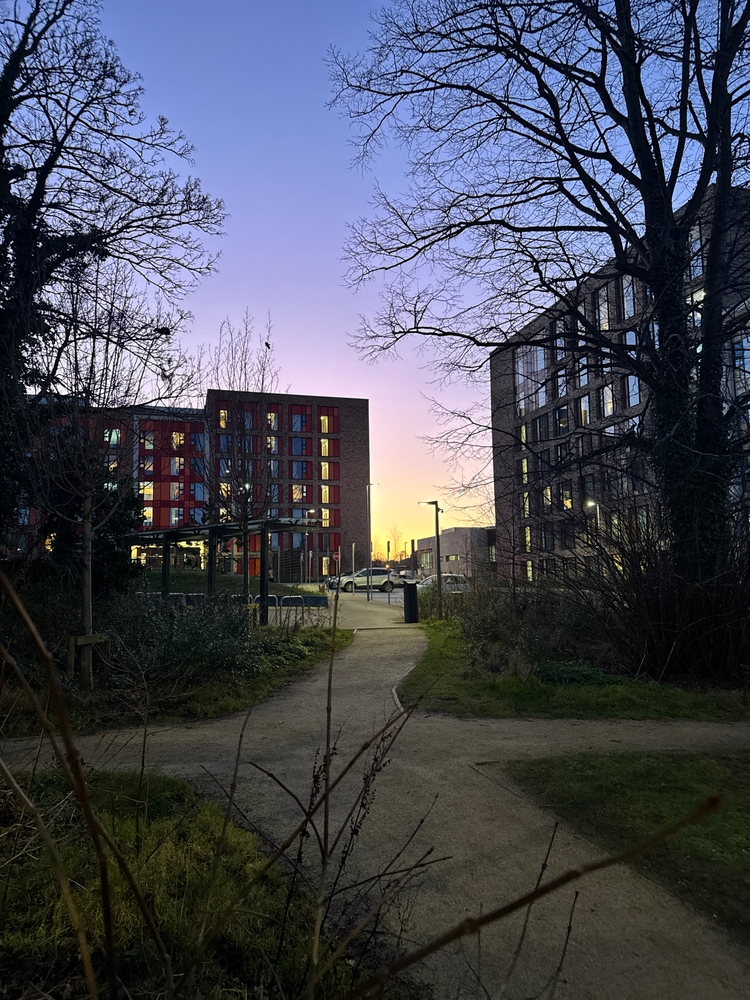 A gorgeous dusk behind a UCD complex