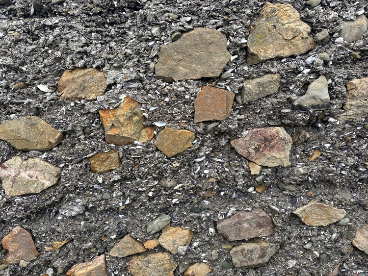 An interesting wall made of shells