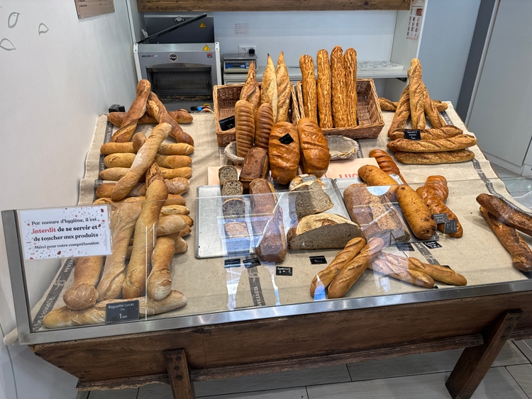 A delightful bakery with many different types of baguettes